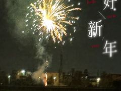 -针姨