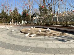 -南宫五洲植物乐园