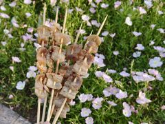 -白塔湖国家湿地公园