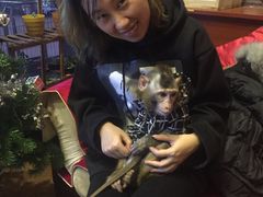 -盤古Spa泰式古法抓龙筋(鲁迅路店)