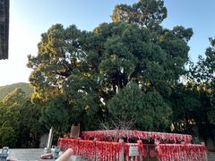 -四门塔风景区