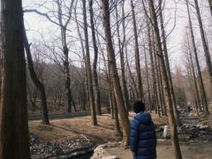 -白水寺森林公园