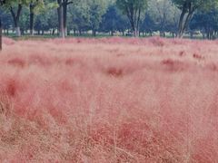 -汉长安城未央宫国家考古遗址公园