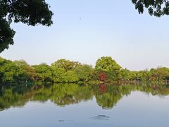 -西湖外事游船(花港观鱼码头)