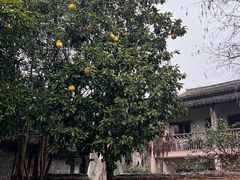 -乌村