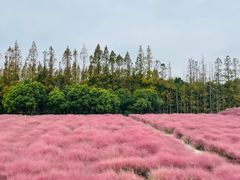 -嘉北郊野公园