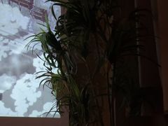-若水云栖·足疗·按摩·SPA(城阳万达广场店)