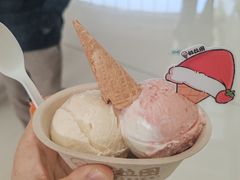 -极拉图·现制冰淇淋(梅溪湖新天地步步高店)