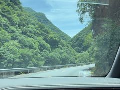 -黑河国家森林公园