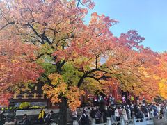 -香山公园-东宫门售票处