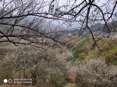 -福建天门山