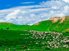 -马学武手抓美食(下南关总店)