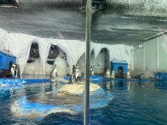 -太平洋海底世界