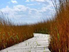 -野鸭湖国家湿地公园