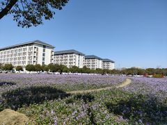 -扬州大学(扬子津校区)