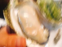-土蚝·高压锅生蚝(百姓美食街店)