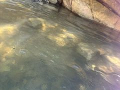 -雅鲁激流探险漂流