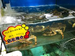 -蚝专家(北滘店)