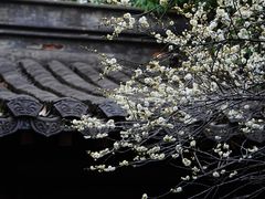 -钱王祠