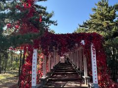 -乌素图国家森林公园