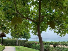 -三亚亚龙湾天域度假酒店