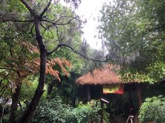 -观唐（国际）度假村温泉