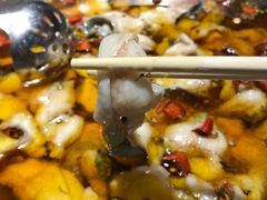 -雲蜀龙阁·金牌水煮鱼(方庄店)