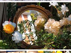 -橘洲1910花园江景西餐厅
