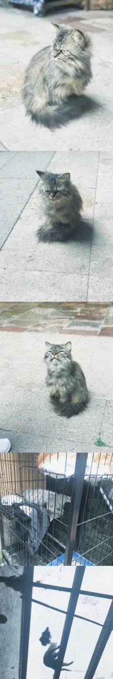-老屋咖啡