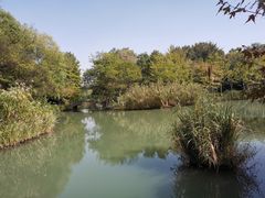 -青枫公园