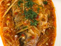 -雀蓝川菜(奥体广场店)