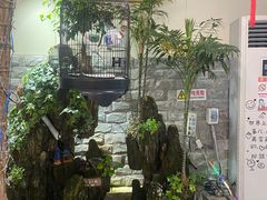 -丽江庭院之丽江往事(安定门店)