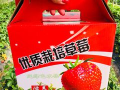-小鱼草莓采摘园农家乐·小鱼餐厅