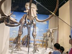 -国家自然博物馆