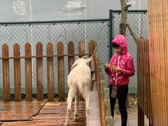 -上海崇明金茂凯悦酒店