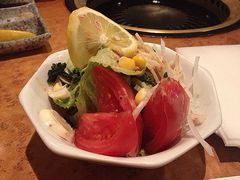 蔬菜色拉-炼火烤肉店