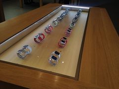 -Apple零售店(华贸购物中心店)