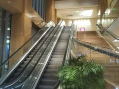 -烟台金海岸希尔顿酒店·開自助餐厅