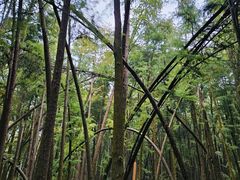 -青山湖景区