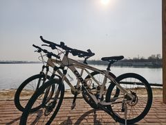 -丁香湖公园