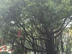 -江头公园
