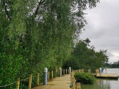 -华侨城湿地公园