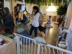 -Husky Go! 哈士奇体验馆·宠物咖啡厅狗咖