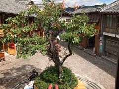 -木王宴语·野生鲜菌火锅(玉河店)