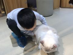 -藏猫猫咖啡主题馆(中央大道店)