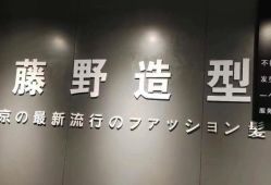 -藤野造型