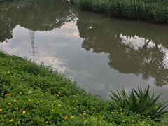 -长洲岛