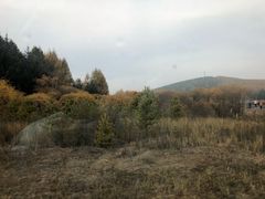 -御道口草原森林风景区