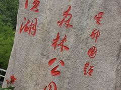 -合肥滨湖国家森林公园