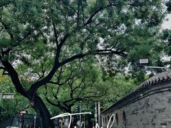 -北京第二实验小学